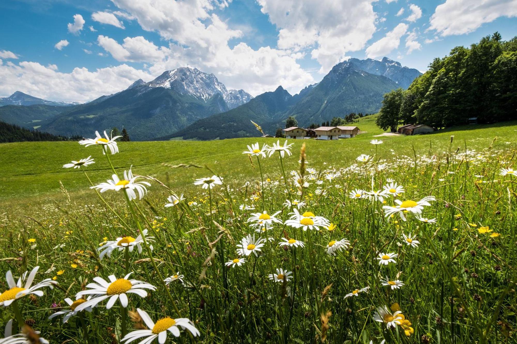 Ettlerlehen Chalets Ramsau bei Berchtesgaden ภายนอก รูปภาพ
